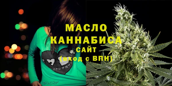 мет Новозыбков