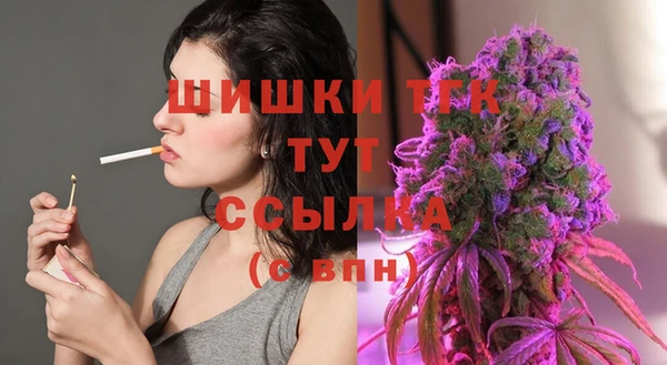 мет Новозыбков