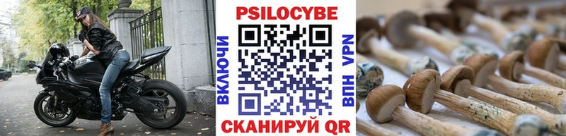 Галлюциногенные грибы мухоморы  Купить  Южа 